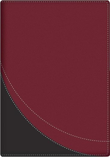 La Biblia en orden cronológico / RV1960