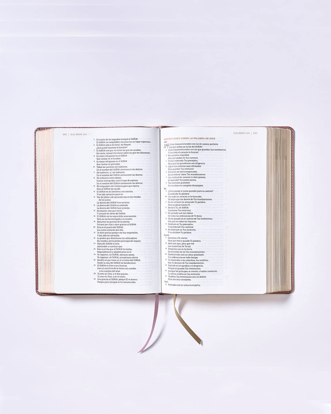 NBLA Biblia Ama a Dios grandemente: Oro rosa | Leathersoft | Interior a cuatro colores