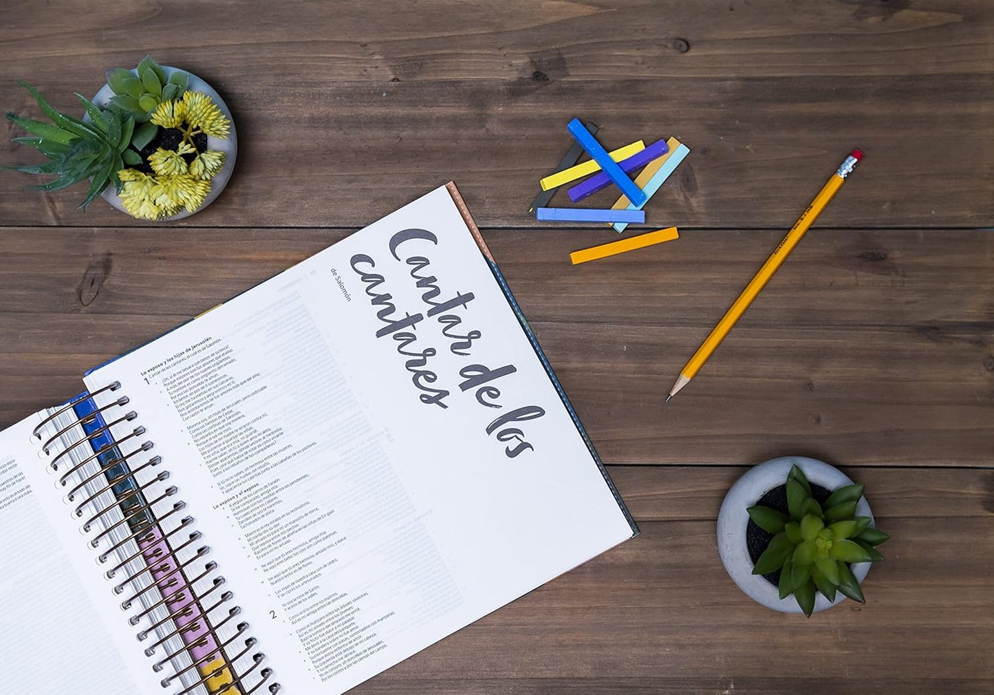 RVR 1960 Biblia para ilustrar| Floral| Símil piel| Espiral