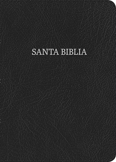 NVI Biblia Letra Gigante Negro, Piel Fabricada Con índice