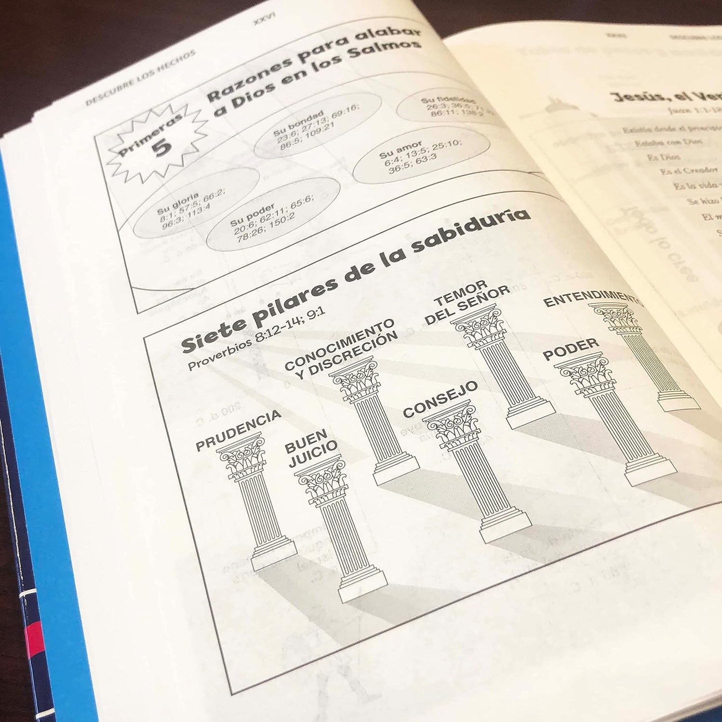 Biblia para niños NVI, Texto revisado 2022, Tapa dura, Comfort Print