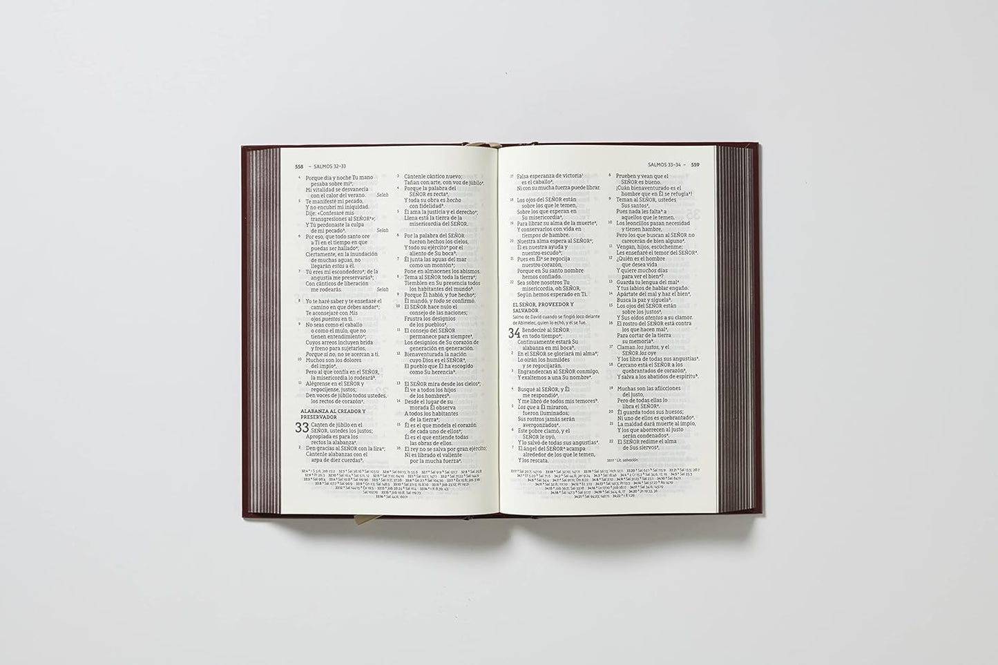 NBLA Santa Biblia, Letra Grande, Tapa Dura, Sola Scriptura