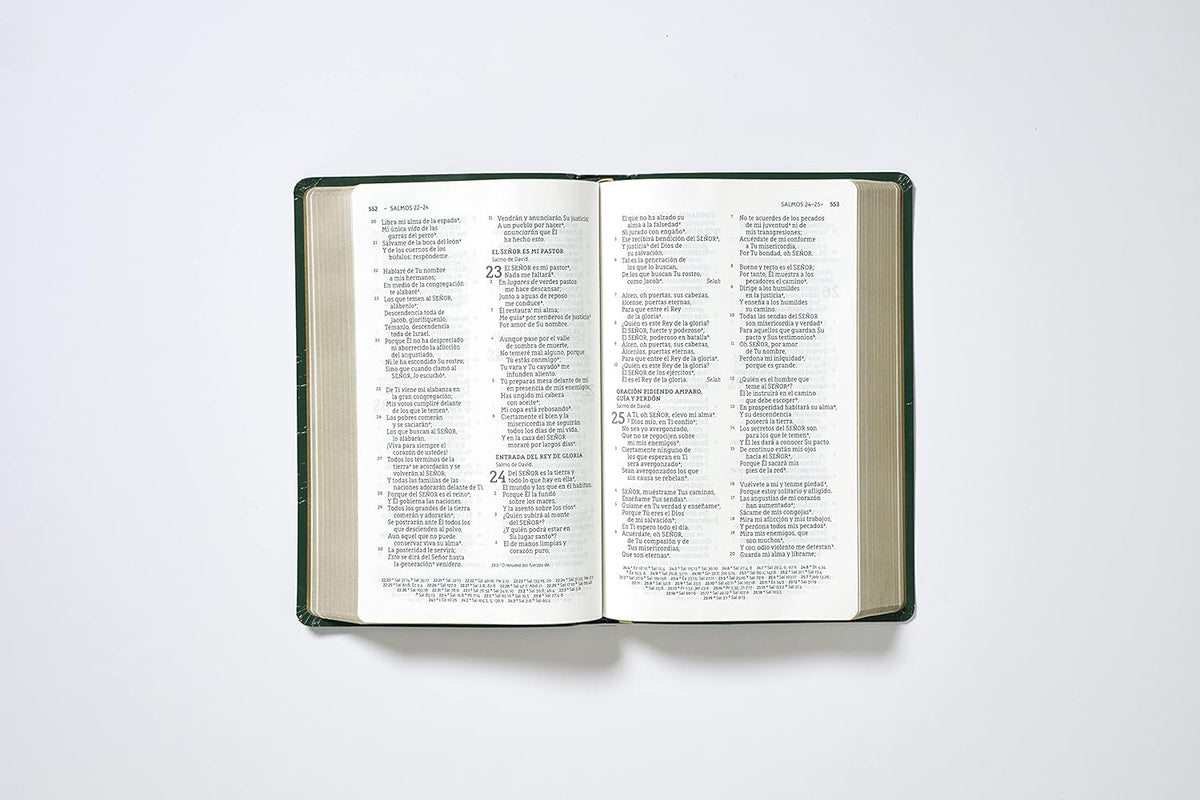 NBLA Santa Biblia, Letra Grande, Flexcover, Historia de Redención
