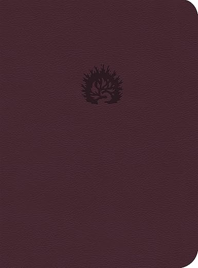 Biblia de Estudio de la Reforma LBLA: Simil piel| ciruela