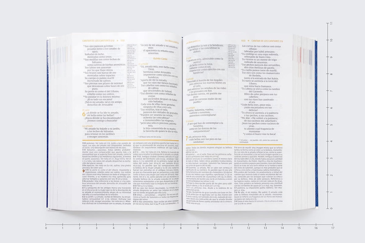 Biblia de Estudio NVI actualizada: Revisión 2022. Letra grande. Tapa Dura. Interior a color. Palabras de Jesús en Rojo. Comfort Print