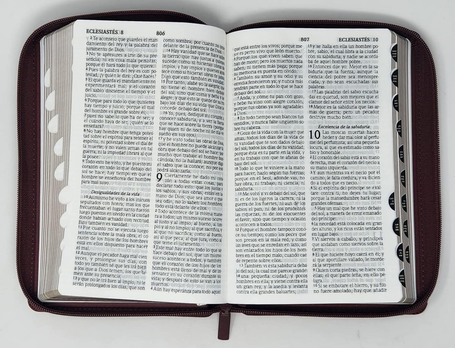 Biblia RVR 1960 Letra Grande / Tamaño Manual / Marrón / Cierre / Índice
