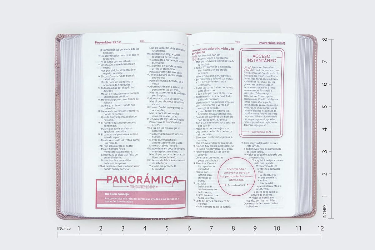 RVR60 Biblia de Estudio para Jóvenes adolescentes: Leathersoft. Oro Rosa. Palabras de Jesús en Rojo. Comfort Print