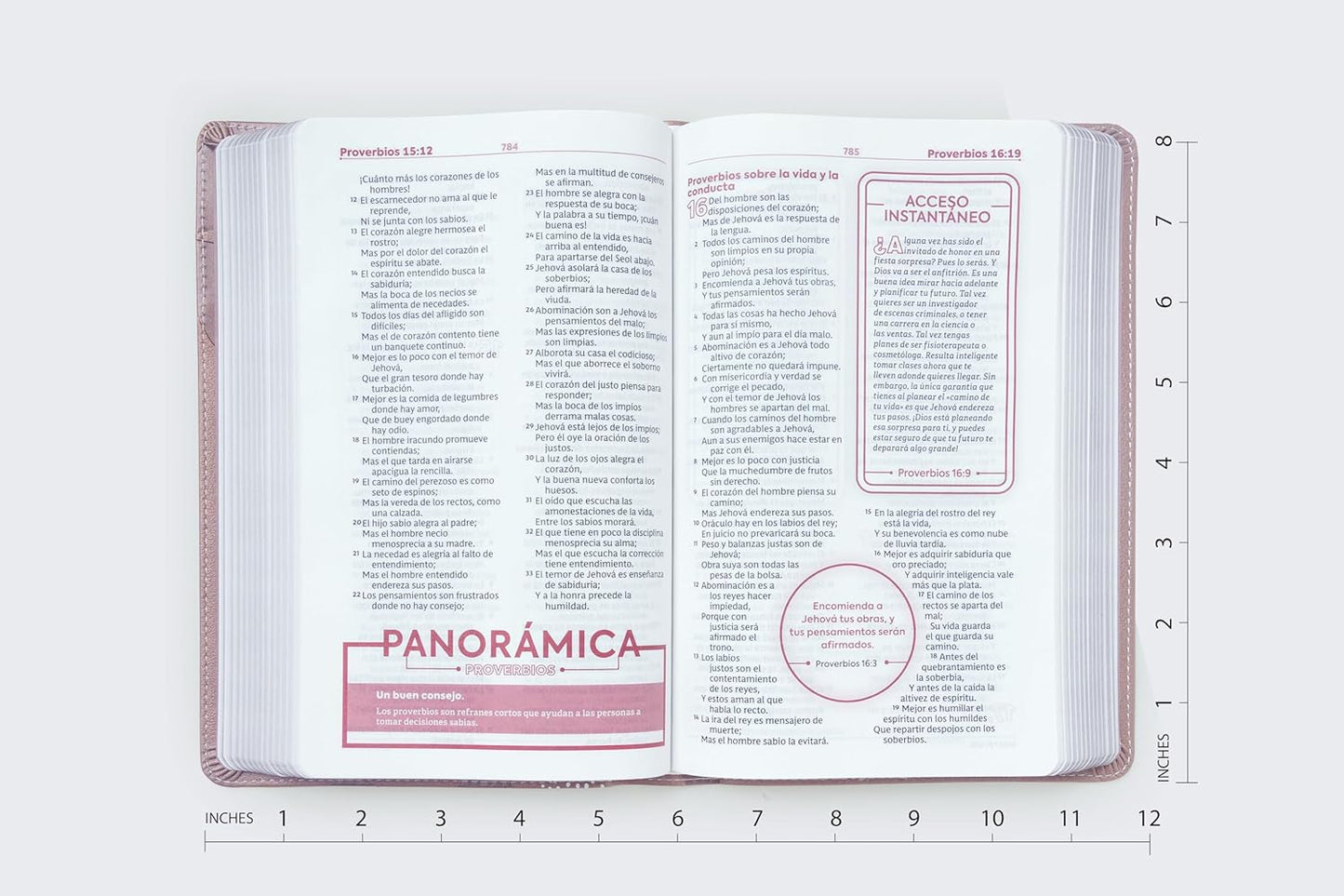 RVR60 Biblia de Estudio para Jóvenes adolescentes: Leathersoft. Oro Rosa. Palabras de Jesús en Rojo. Comfort Print