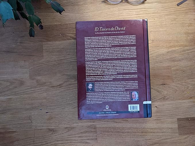 El Tesoro de David II: La revelación escritural a la luz de los Salmos