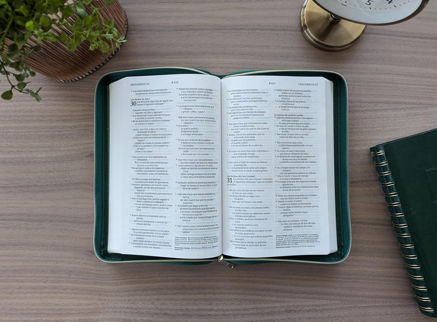 Biblia Ultrafina NTV de zíper: con Filament | SentiPiel Verde esmeralda