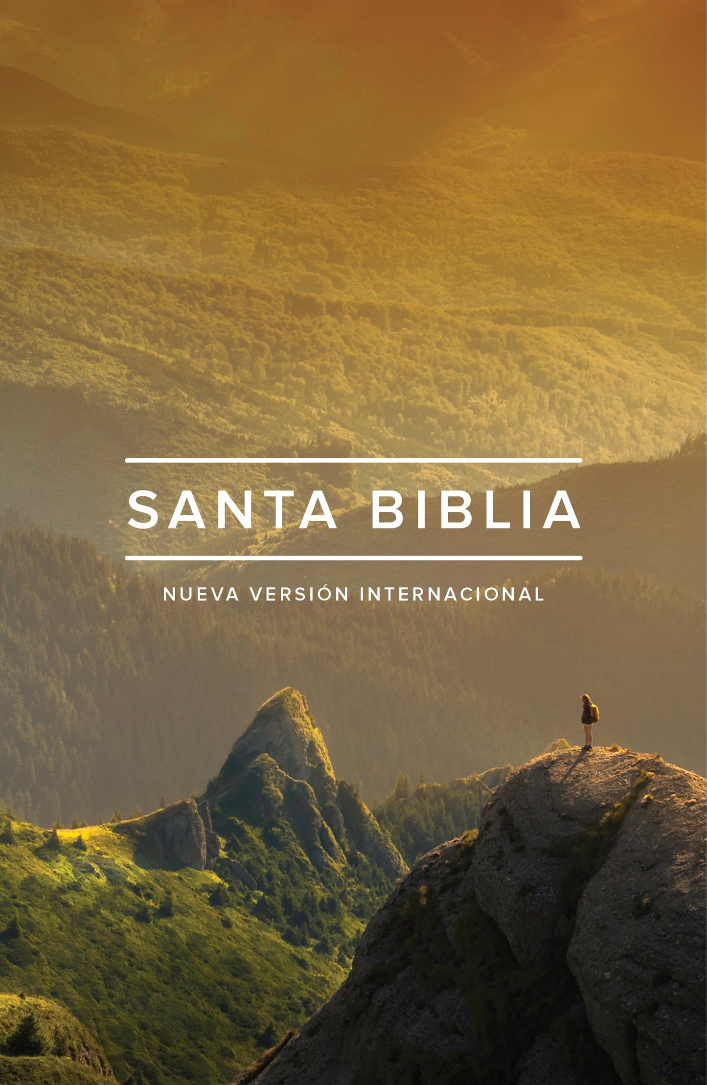 Biblia NVI edicion ministerial, tapa rustica /regalo