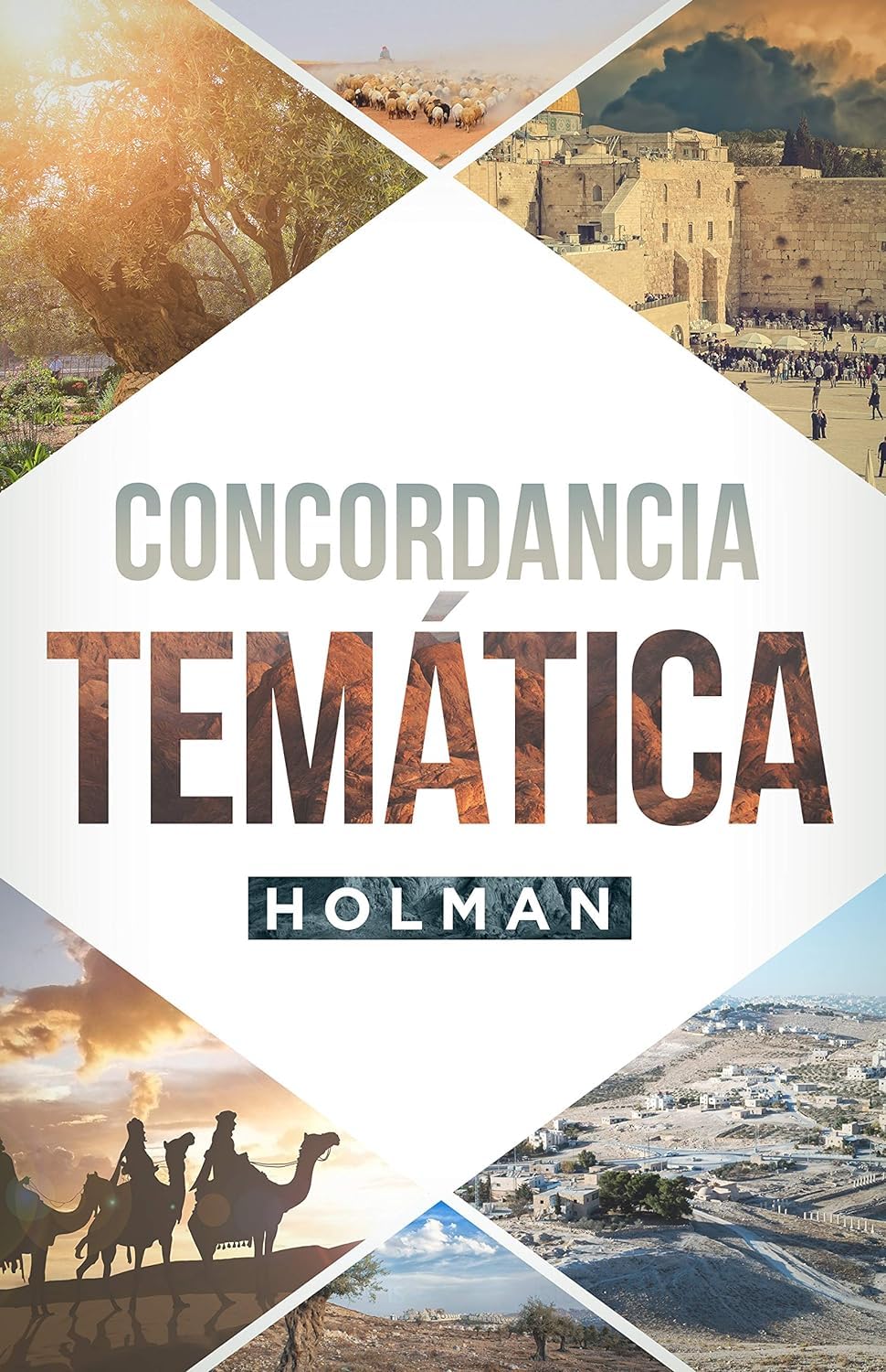Concordancia Tematica Holman/ Nueva edicion