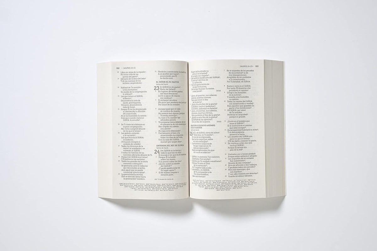 NBLA Santa Biblia -Edic Economica: Letra Gde. | Rustica