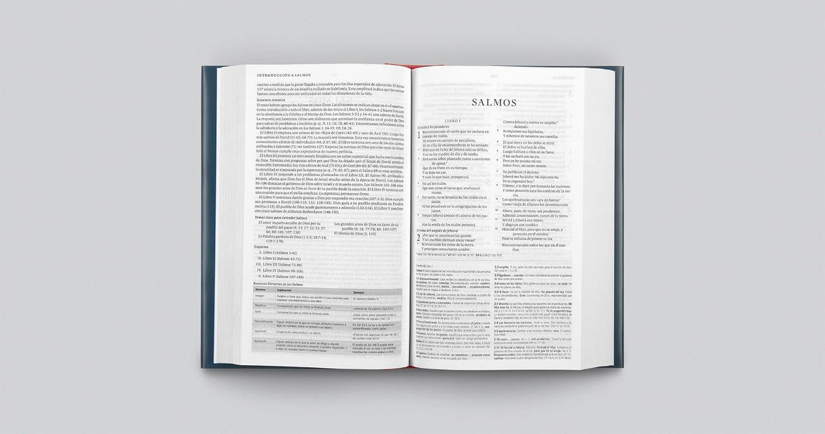 Biblia de Estudio Concisa RVR1960