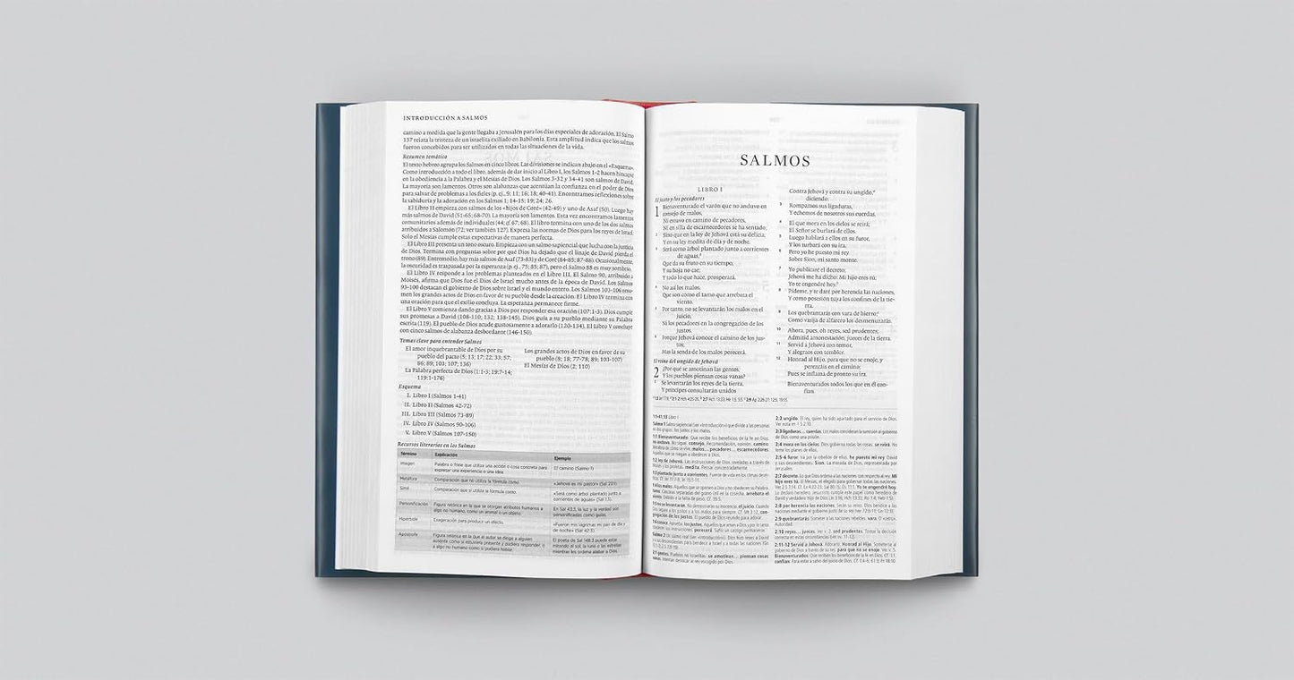 Biblia de Estudio Concisa RVR1960