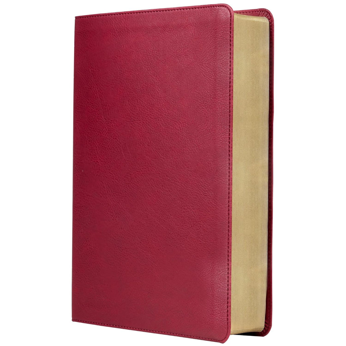 RVR Biblia de Estudio Trasfondo Cultural: Leathersoft Rojo vino | Interior a color | Comfort Print