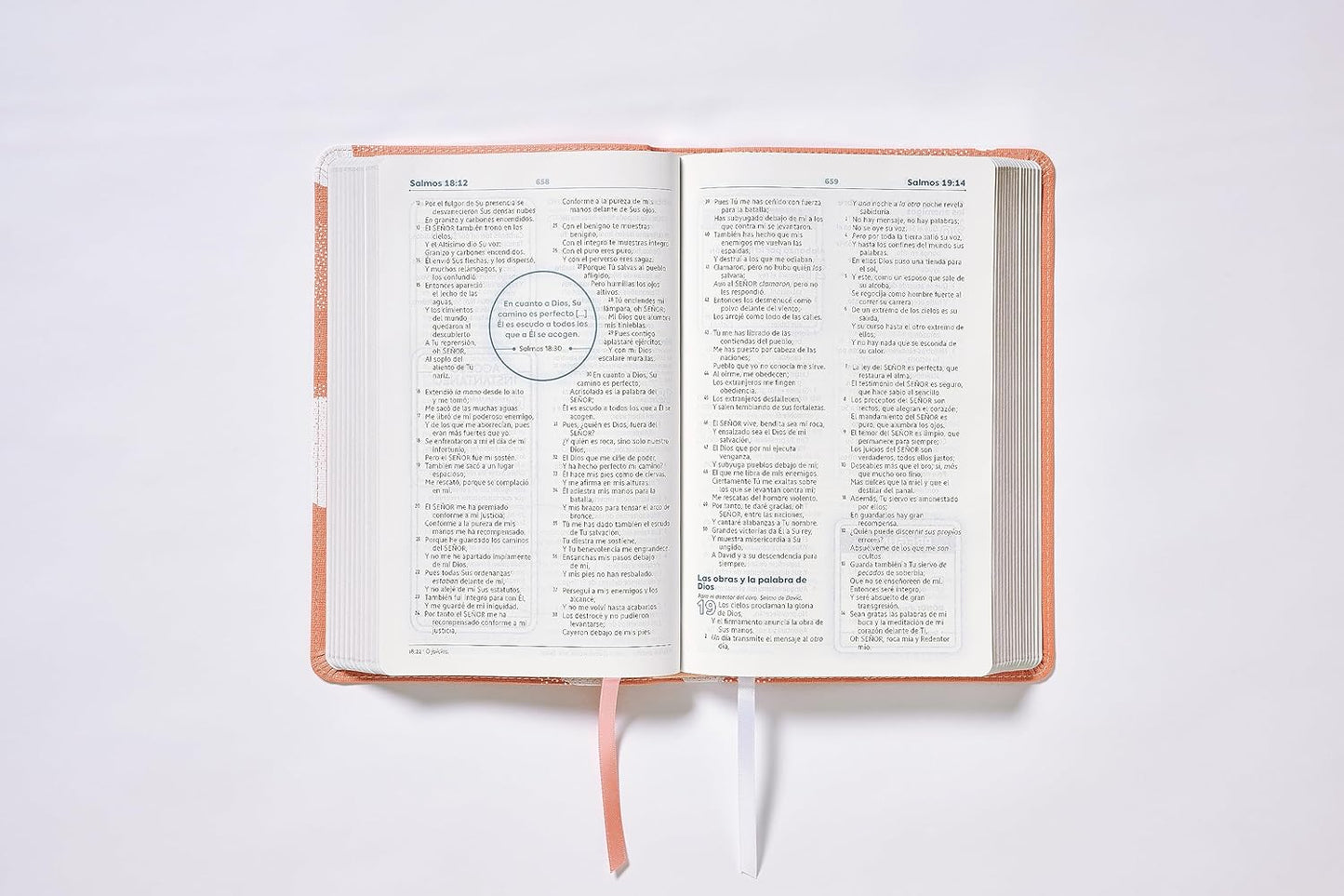 NBLA Biblia de Estudio para Jóvenes Adolescentes: Leathersoft. Color durazno. Comfort Print