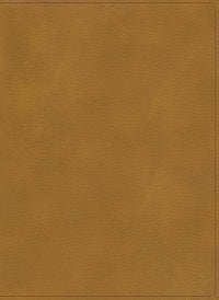 RVR 1960 Biblia Ilustrada de la Tierra Santa| Café| Símil piel