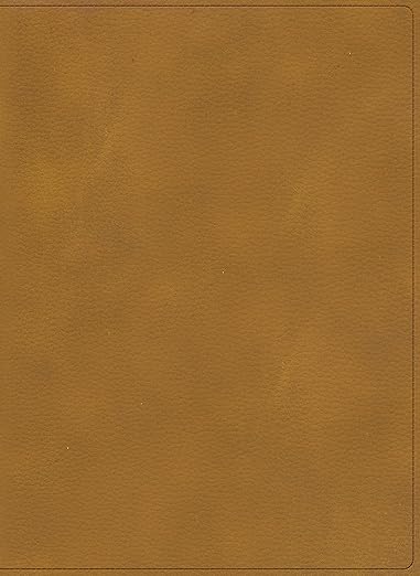 RVR 1960 Biblia Ilustrada de la Tierra Santa| Café| Símil piel