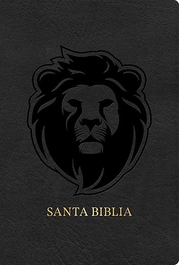 RVR 1960 Biblia Letra Grande| Tamaño manual| Edición especial| Ceniza| Símil piel