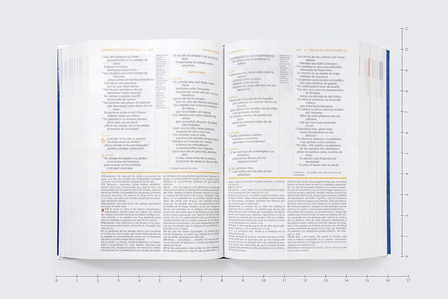 Biblia de Estudio NVI actualizada: Revisión 2022. Letra grande. Tapa Dura. Interior a color. Palabras de Jesús en Rojo. Comfort Print