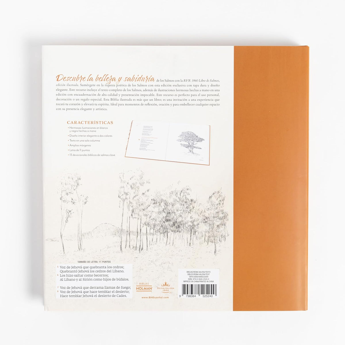 Libro de Salmos Edición Ilustrada RVR1960