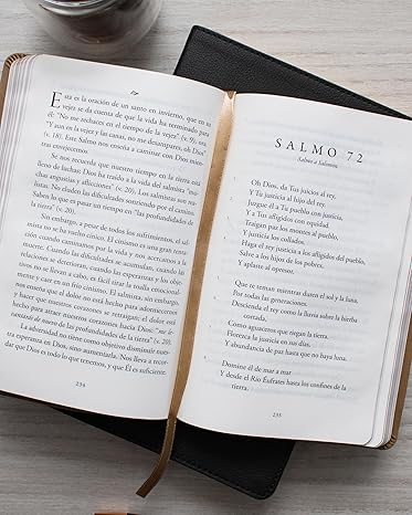 En el Señor me refugio: Meditando los Salmos