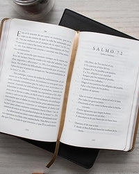 En el Señor me refugio: Meditando los Salmos