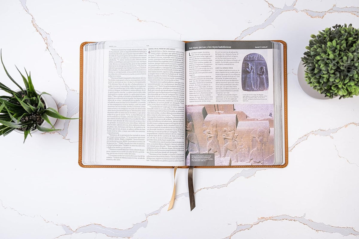 RVR 1960 Biblia Ilustrada de la Tierra Santa| Café| Símil piel