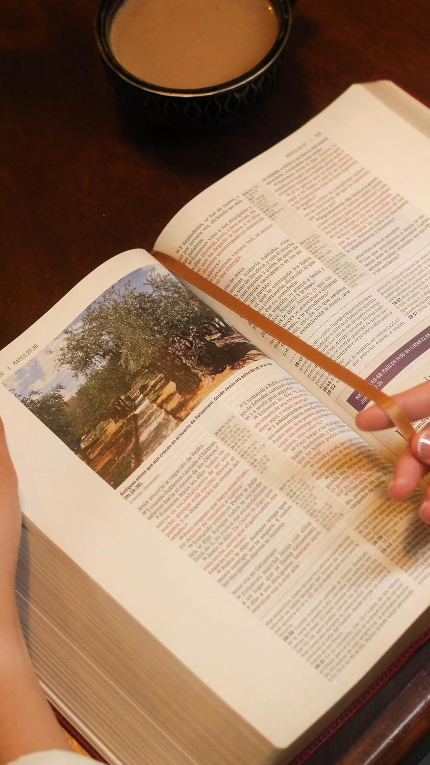 RVR Biblia de Estudio Trasfondo Cultural: Leathersoft Rojo vino | Interior a color | Comfort Print