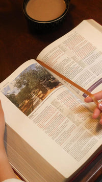 RVR Biblia de Estudio Trasfondo Cultural: Leathersoft Rojo vino | Interior a color | Comfort Print