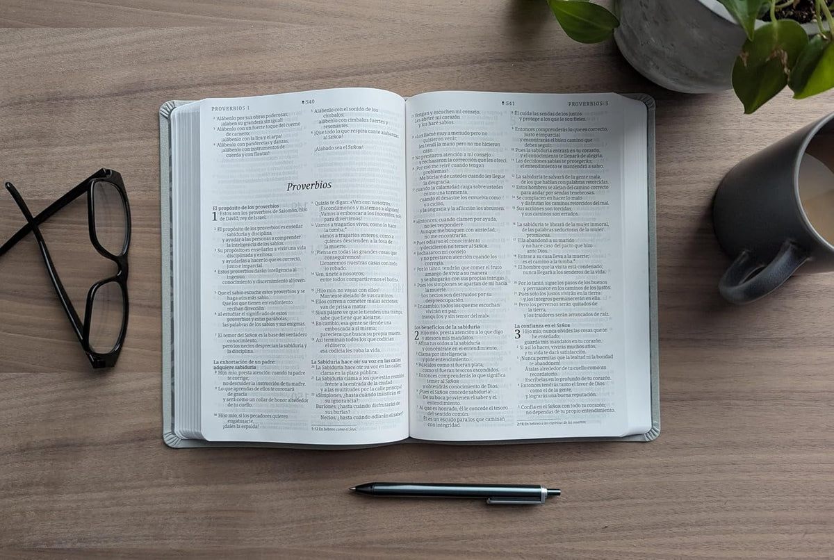Biblia Valor Premium NTV Letra grande: Con Filament | SentiPiel Gris