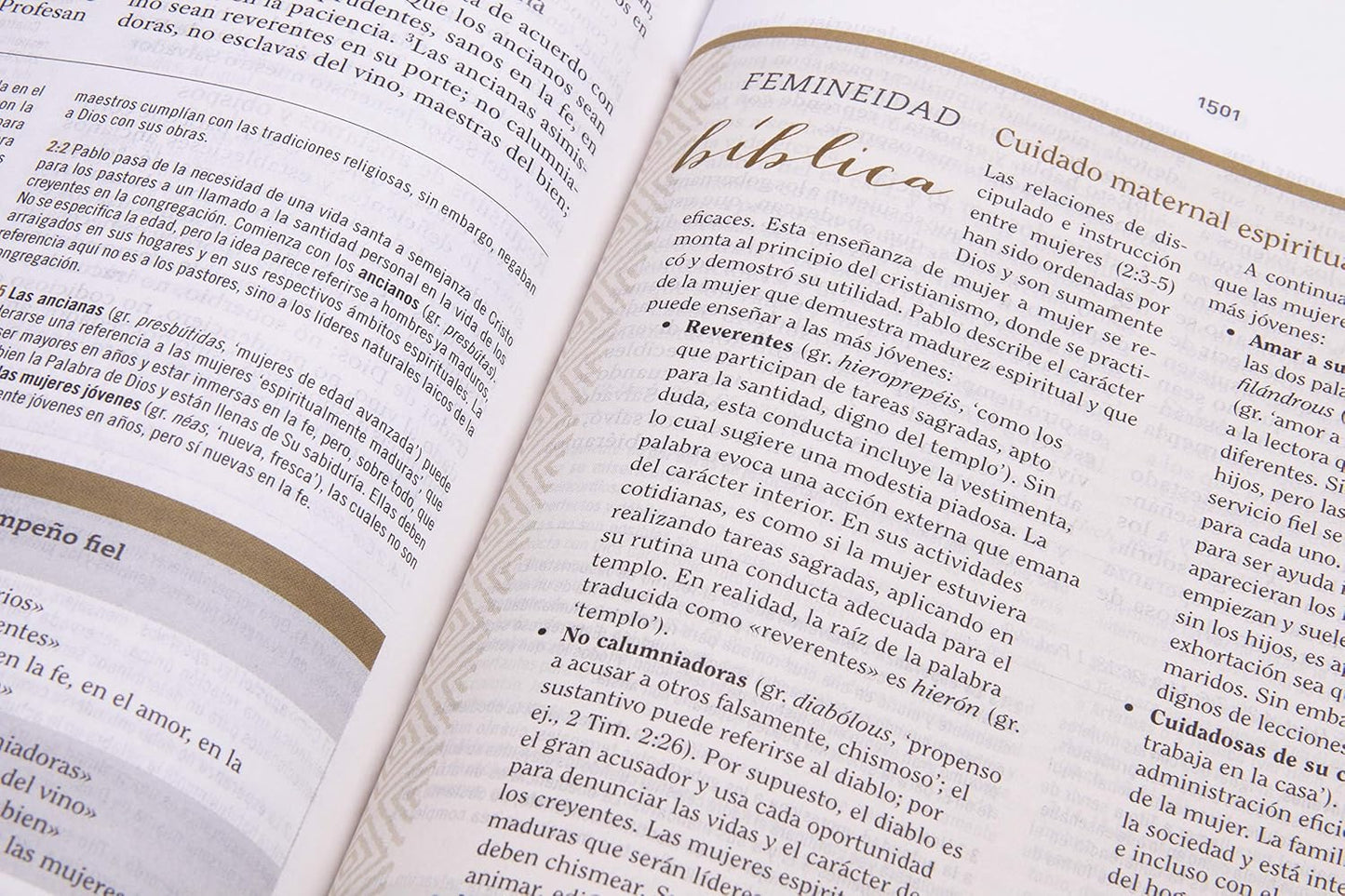 RV1960 Biblia de Estudio para Mujeres: Tela impresa| Azul floreado