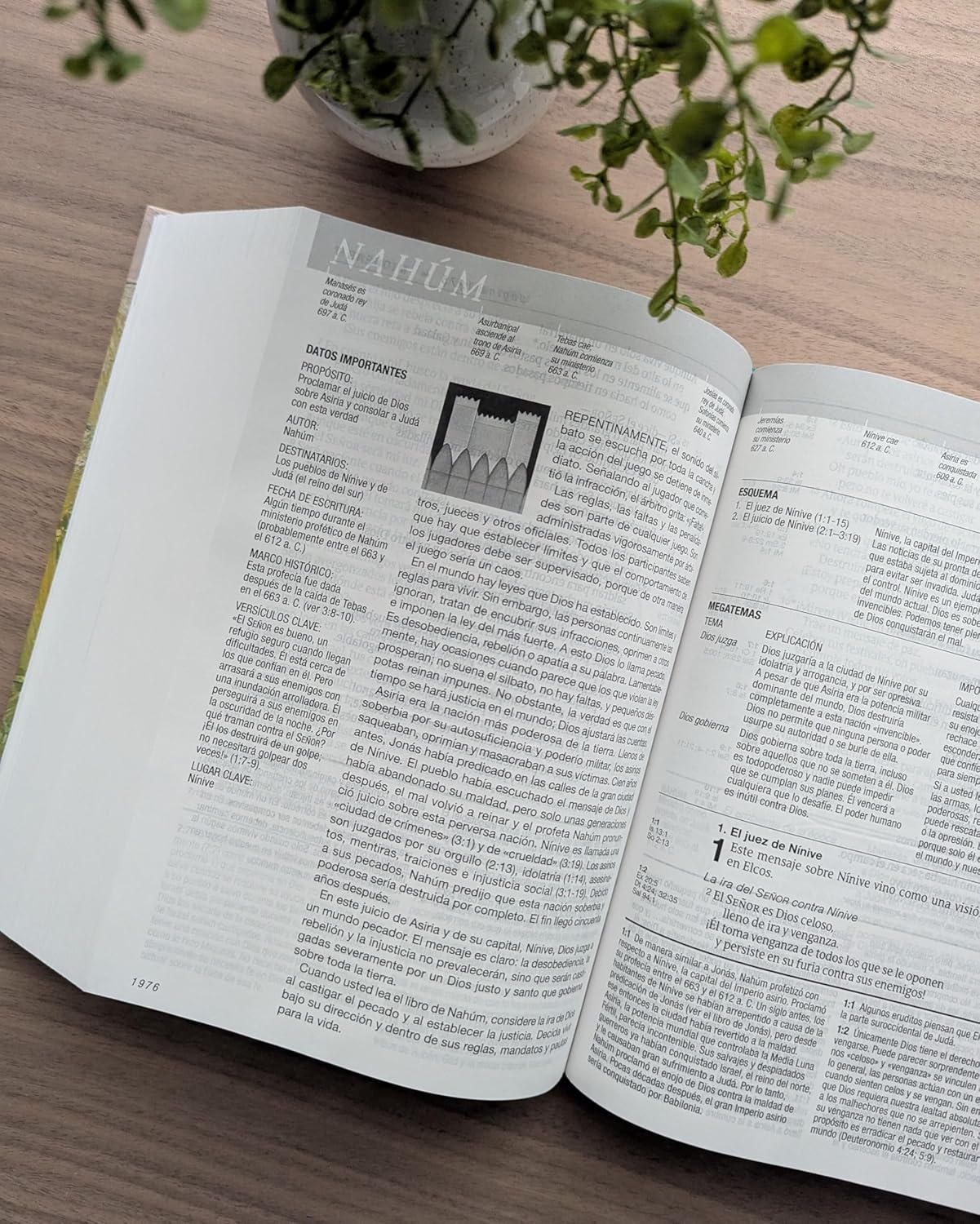 Biblia de estudio del Diario Vivir NTV: Letra Grande | Tapa dura