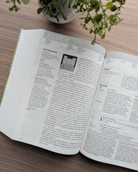 Biblia de estudio del Diario Vivir NTV: Letra Grande | Tapa dura