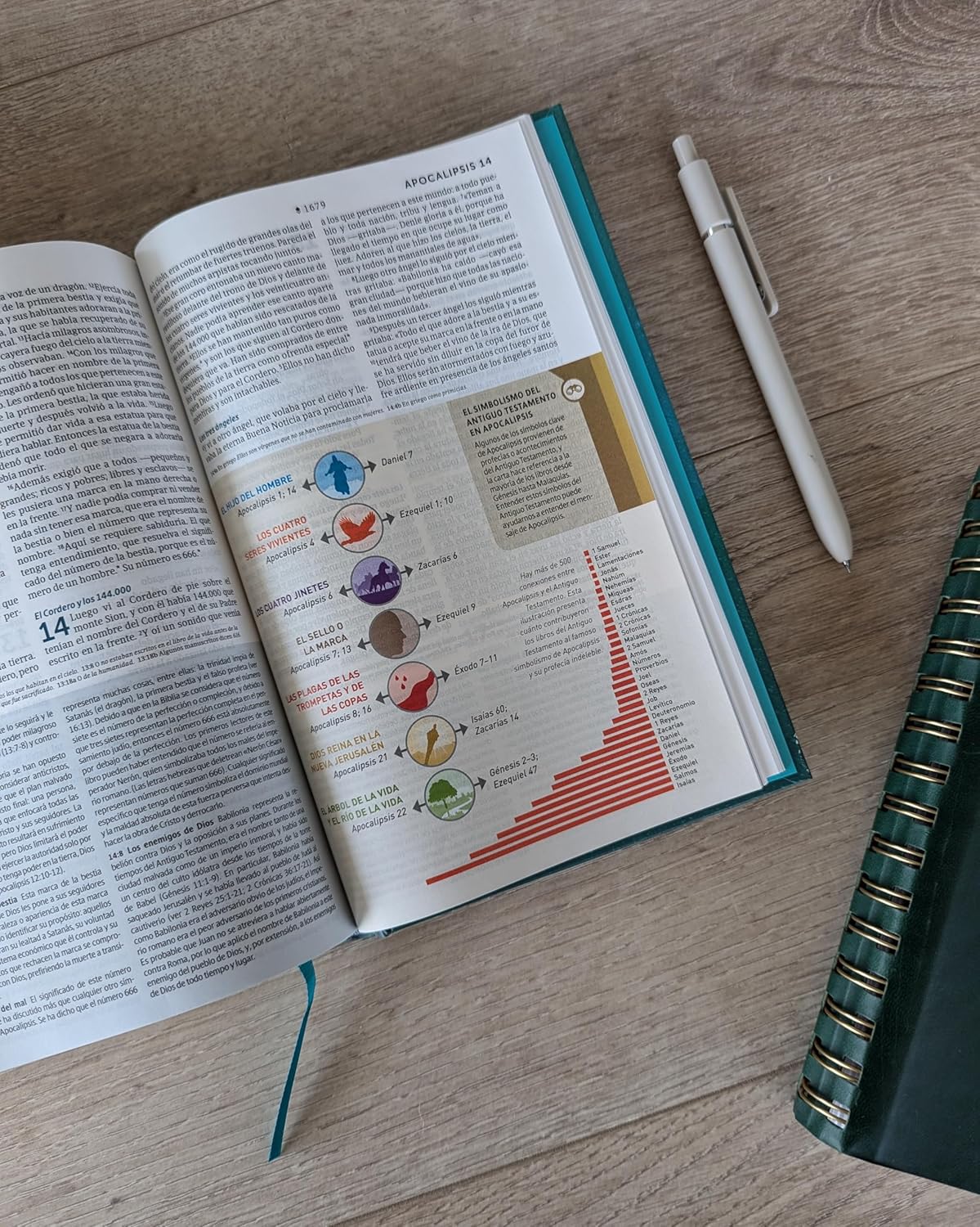 Biblia de estudio del Diario Vivir para Jóvenes NTV: con Filament | Tapa dura Verde