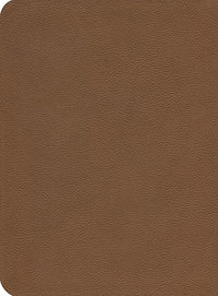 Biblia de Estudio de La Reforma LBLA: Símil piel| café claro