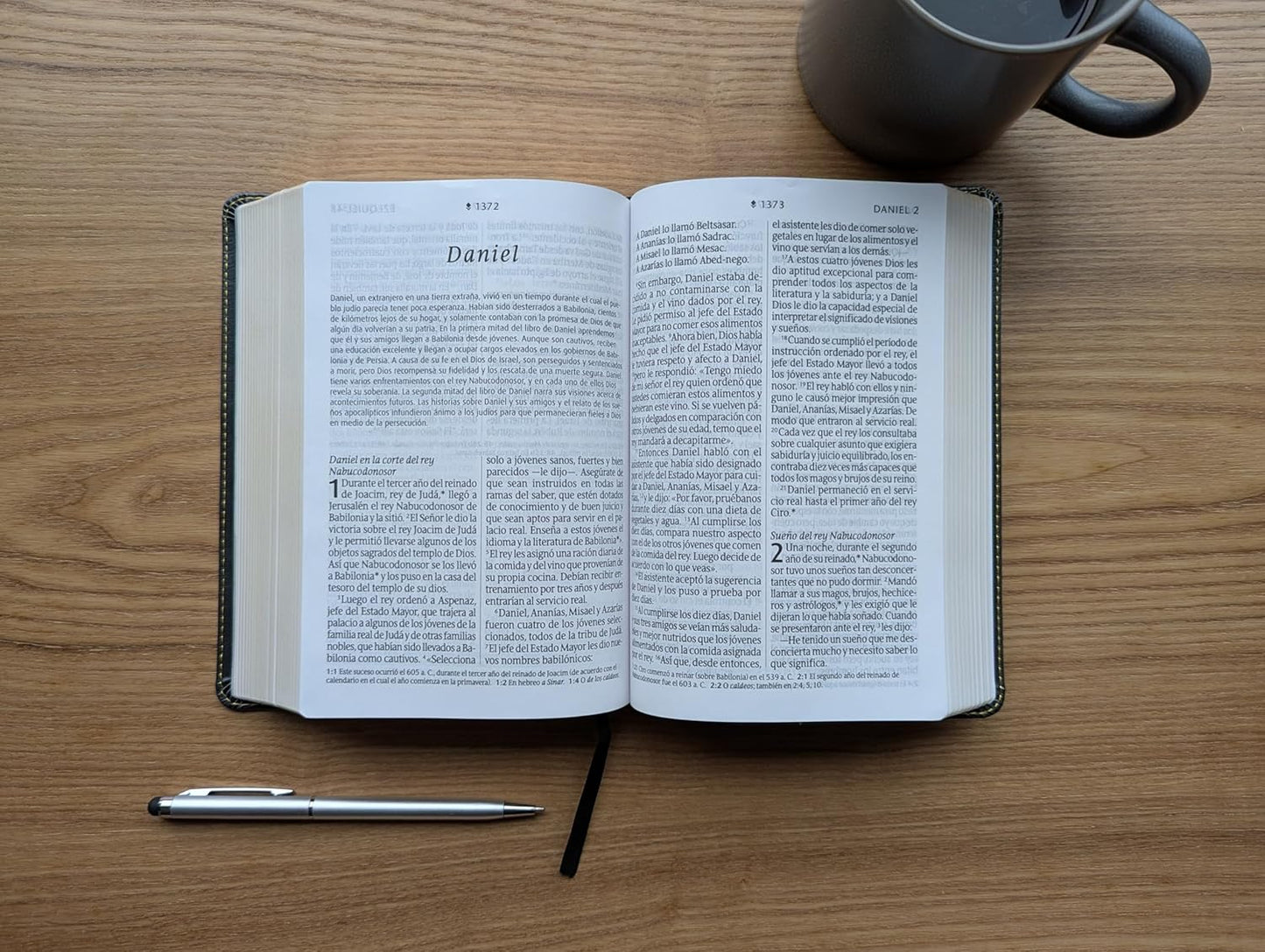 Biblia compacta NTV Letra Gigante: con Filament |SentiPiel Gris con Índice