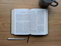 Biblia compacta NTV Letra Gigante: con Filament |SentiPiel Gris con Índice