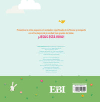 Jesus Resucito por mi (el Evangelio para principiantes-un libro de historias)